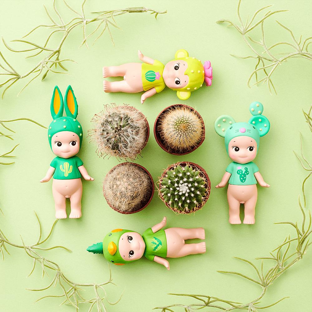 Cactus Series